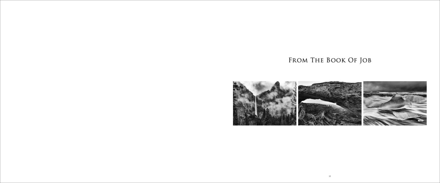 The Defined Landscape - Image 4