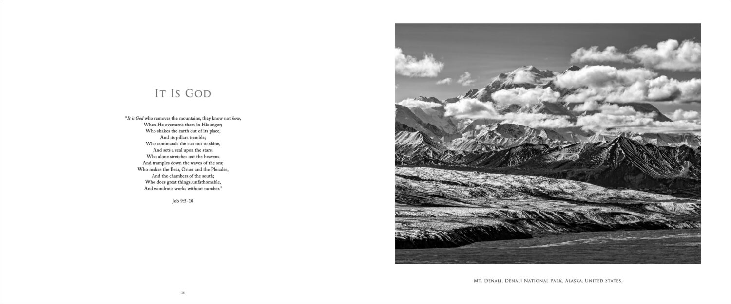 The Defined Landscape - Image 5