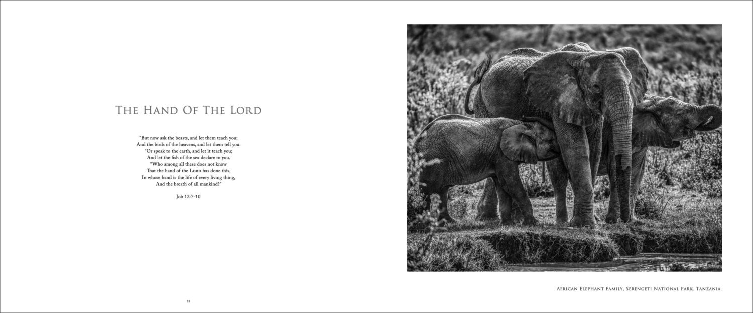 The Defined Landscape - Image 6