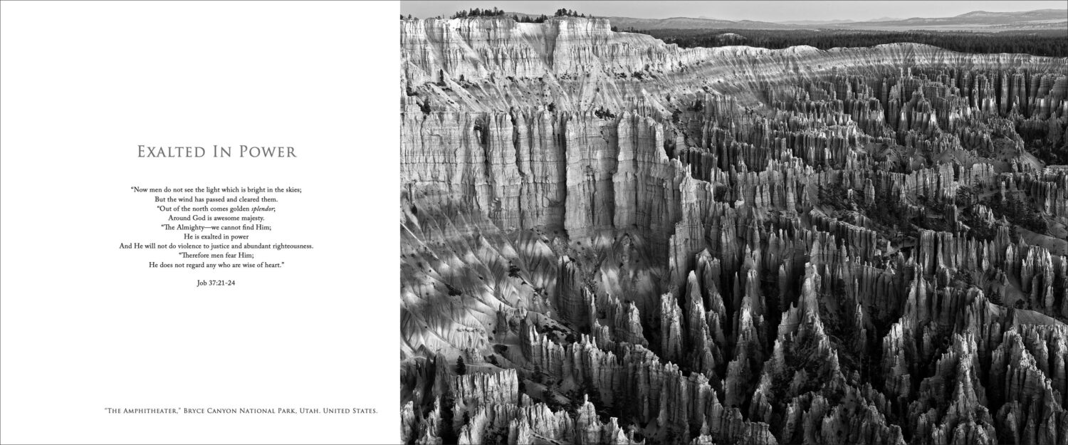 The Defined Landscape - Image 12