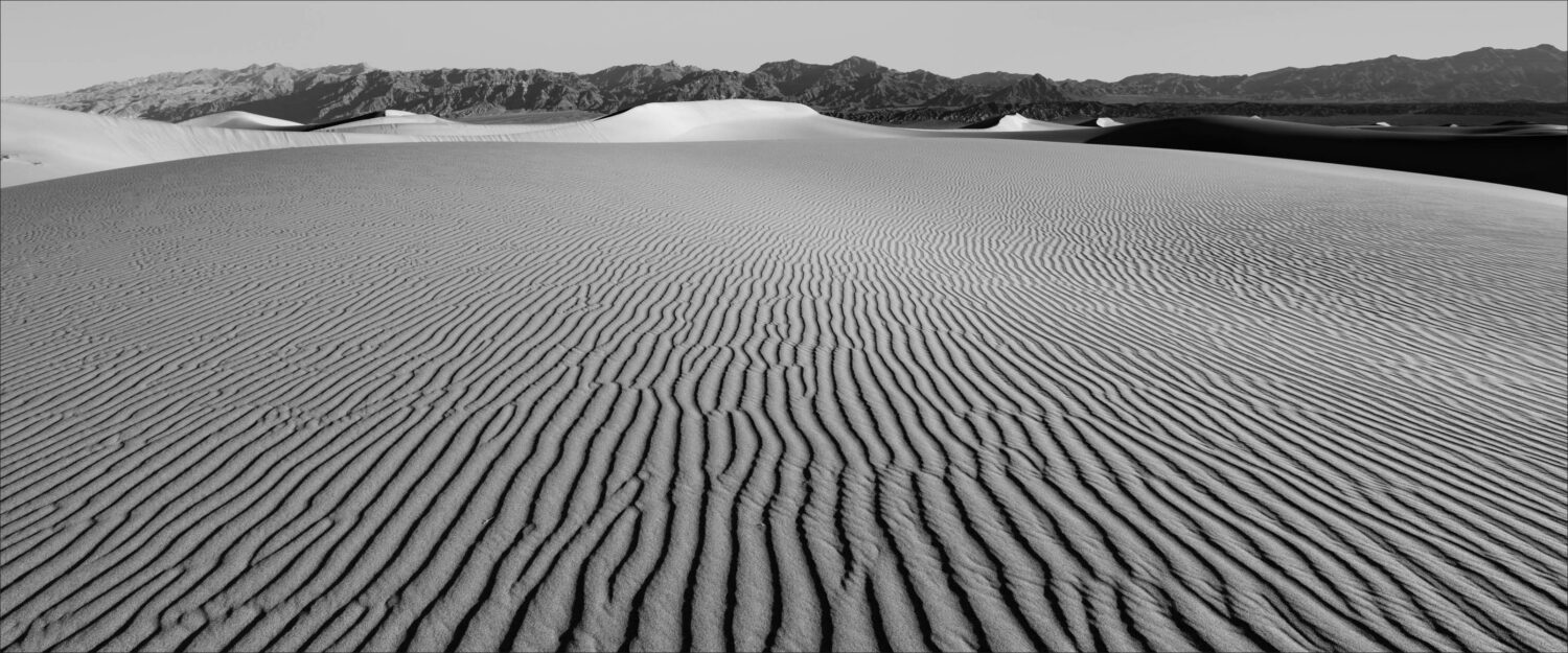 The Defined Landscape - Image 17