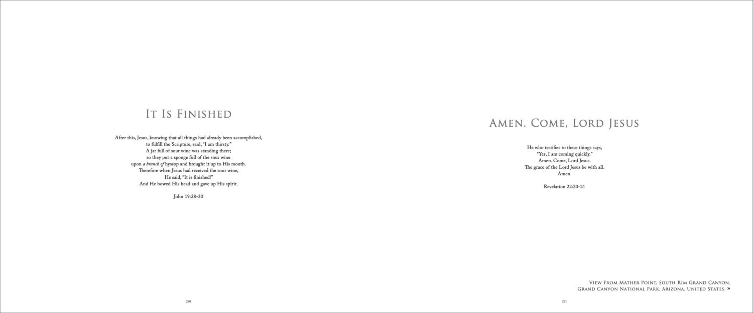 The Defined Landscape - Image 20