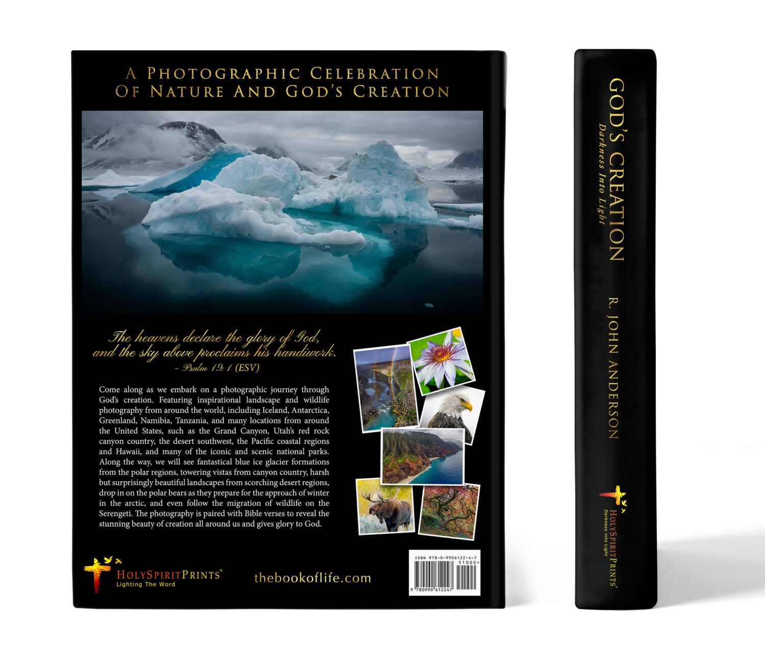 God's Creation, Darkness into Light - Image 3