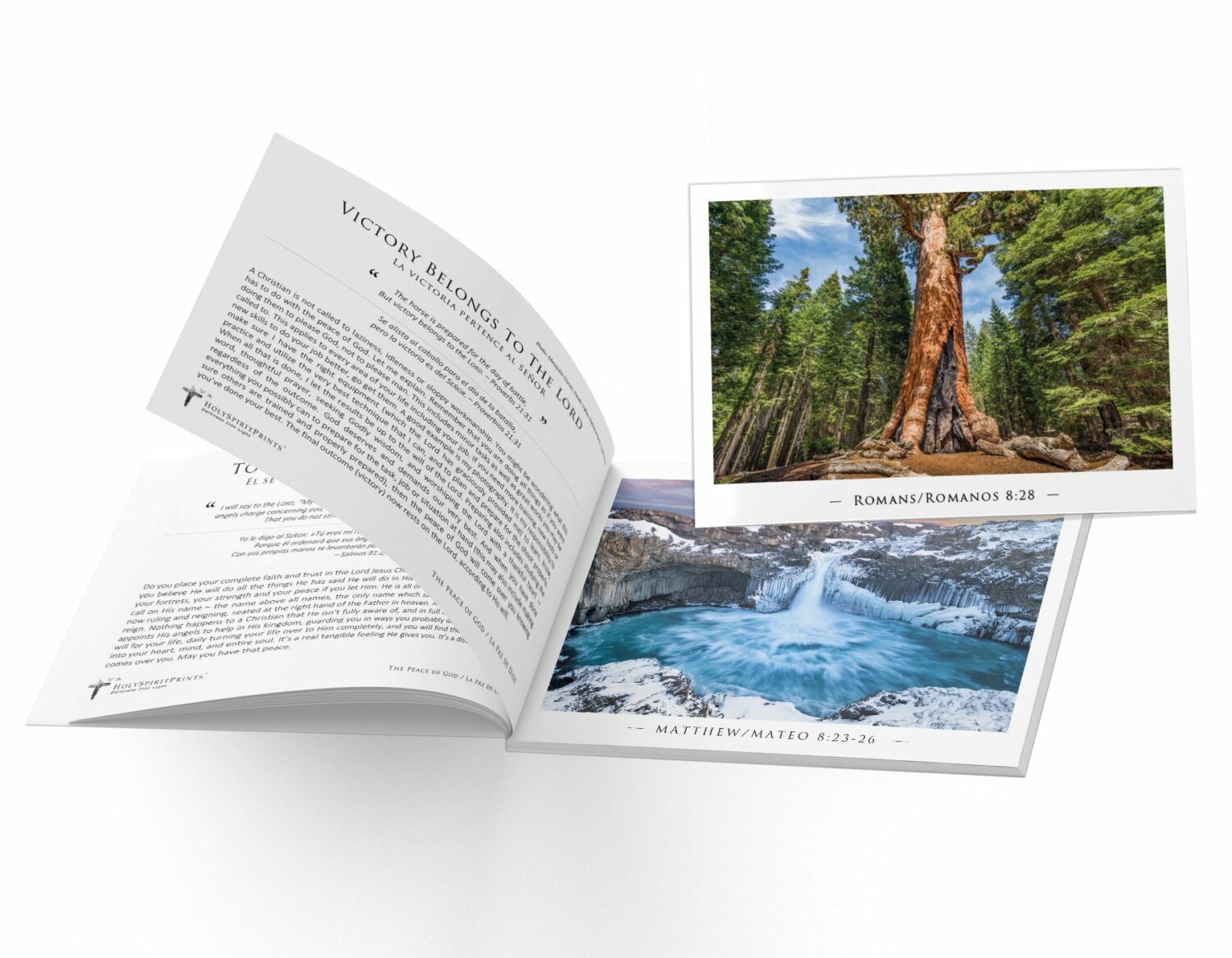 The Peace of God - Image 3