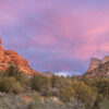 Sweet Psalms Arizona (HD) - Image 9