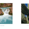 Sweet Psalms Arizona (HD) - Image 12