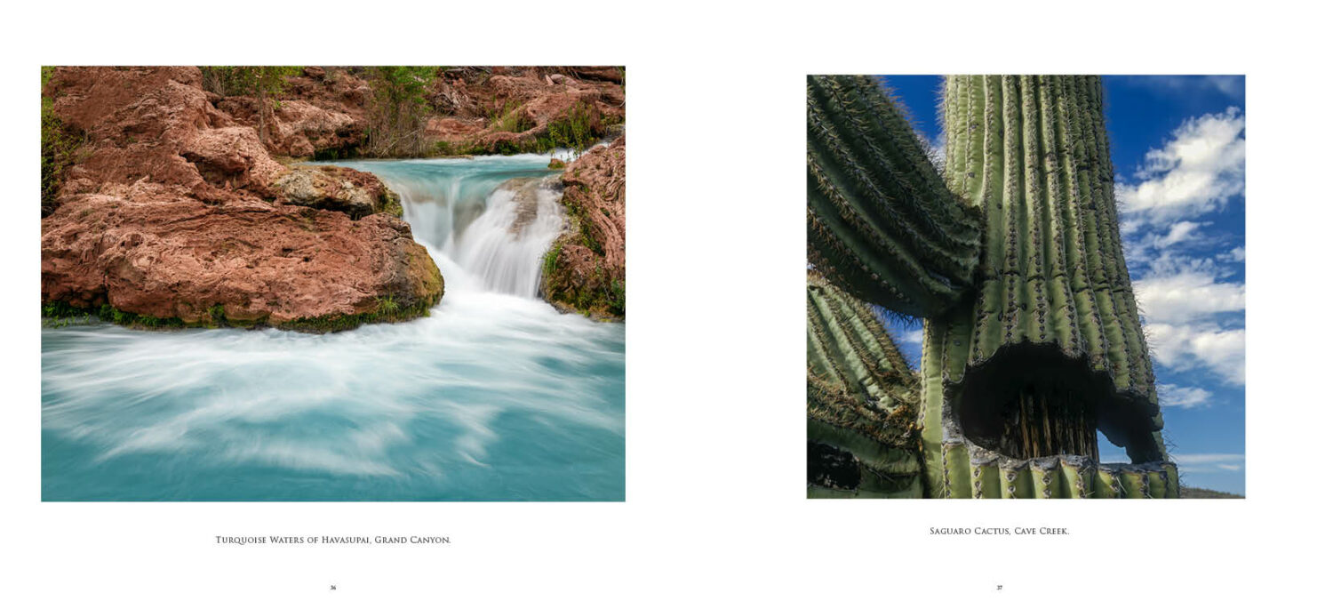 Sweet Psalms Arizona (HD) - Image 12