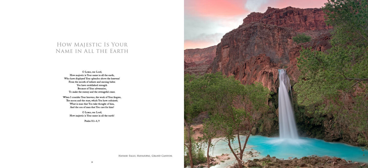 Sweet Psalms Arizona (HD) - Image 13