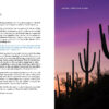 Sweet Psalms Arizona (HD) - Image 5