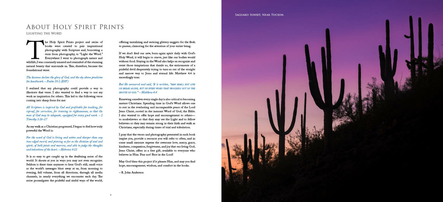 Sweet Psalms Arizona (HD) - Image 5