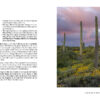 Sweet Psalms Arizona (HD) - Image 6