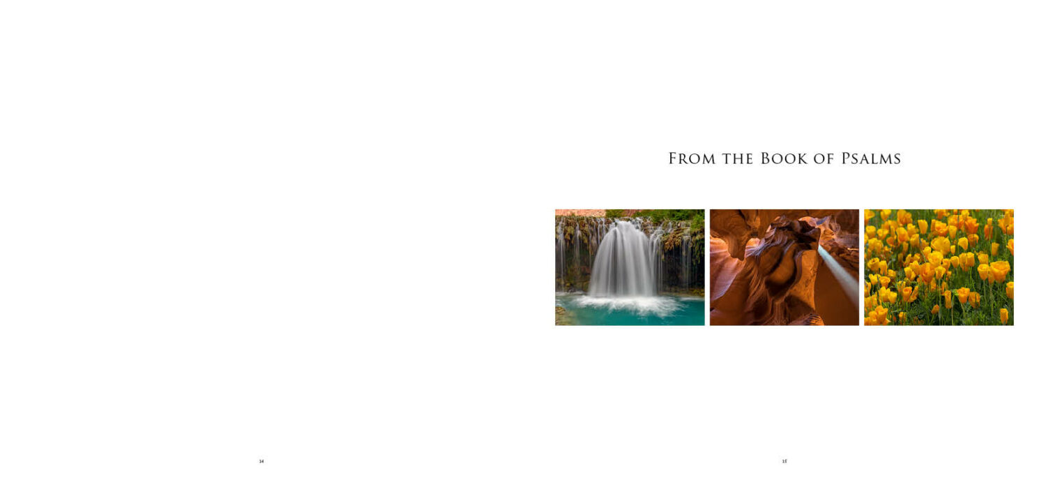 Sweet Psalms Arizona (HD) - Image 7